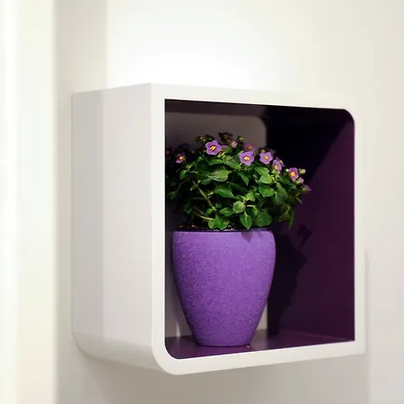 Apartament L&d